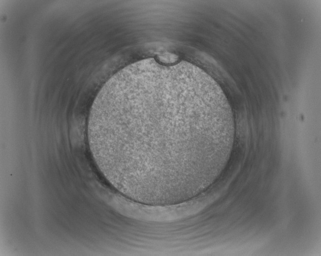 X0000079310030200612151803