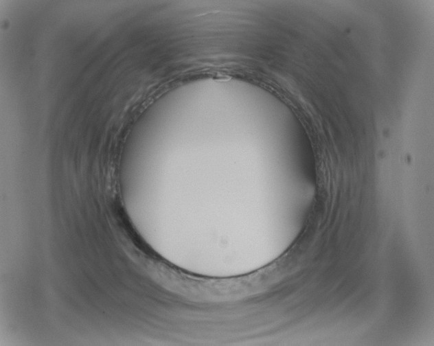 X0000079310031200612151803