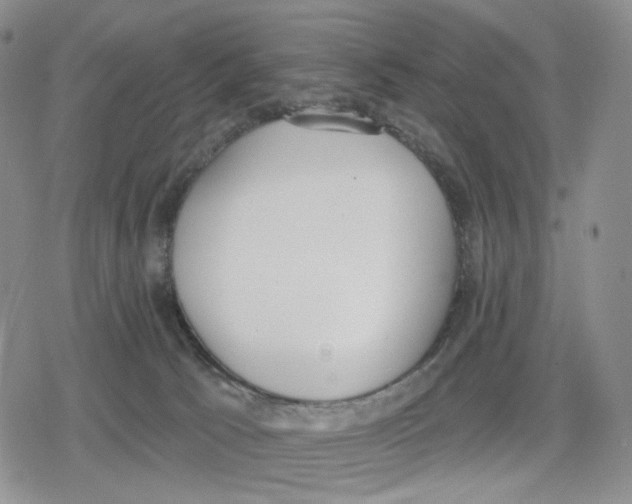 X0000079310033200612151803