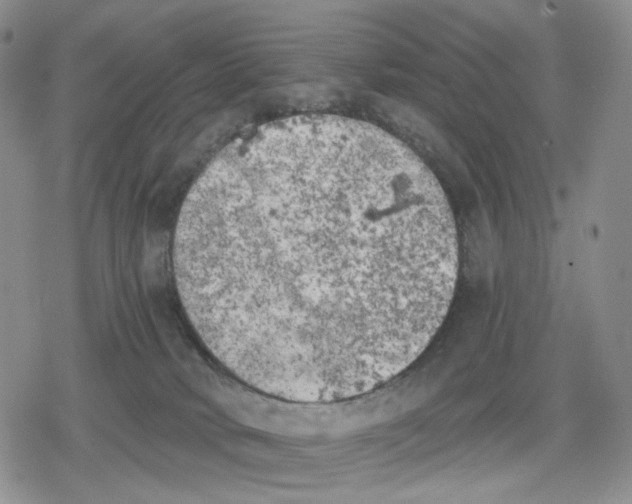 X0000079310034200612151803