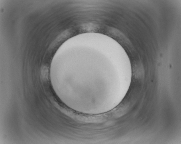 X0000079310036200612151803