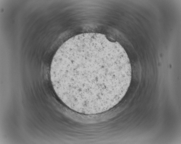 X0000079310038200612151803