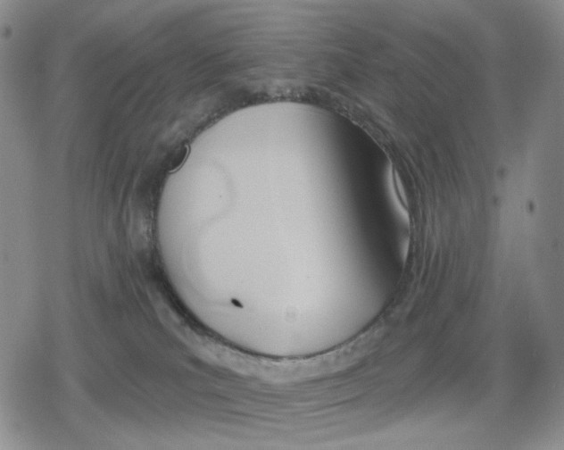 X0000079310039200612151803