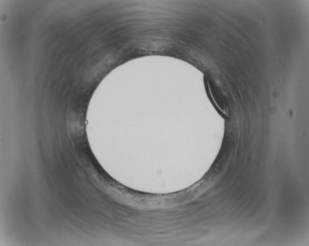 X0000079310040200612151803