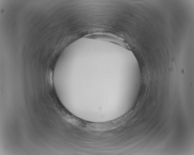 X0000079310041200612151803