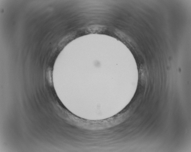 X0000079310042200612151803