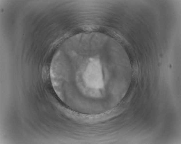 X0000079310043200612151803