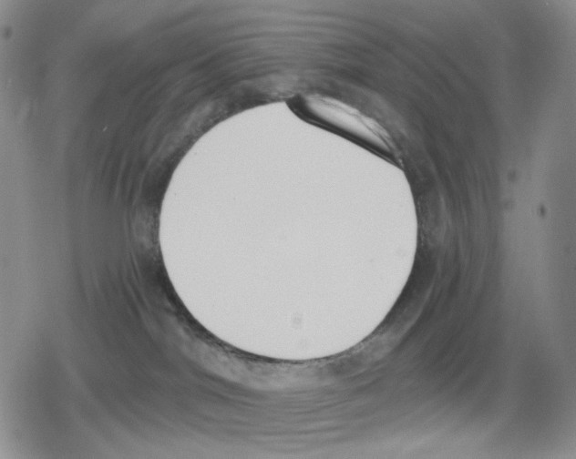 X0000079310044200612151803