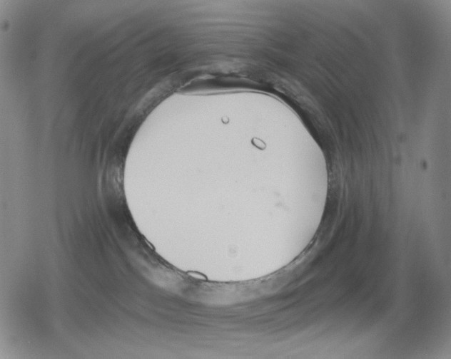 X0000079310045200612151803