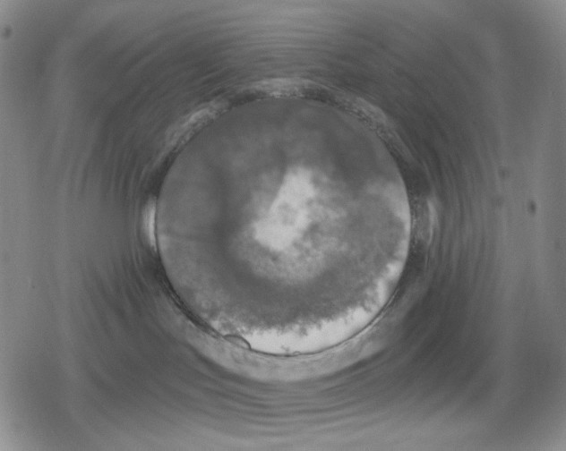 X0000079310047200612151803