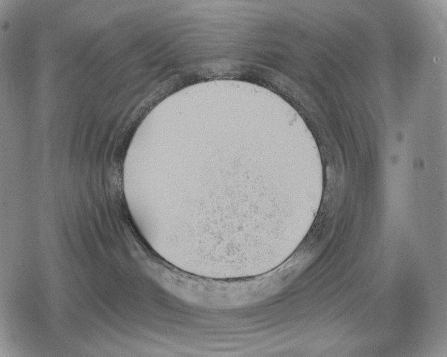 X0000079310048200612151803