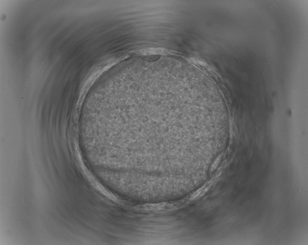 X0000079310049200612151802