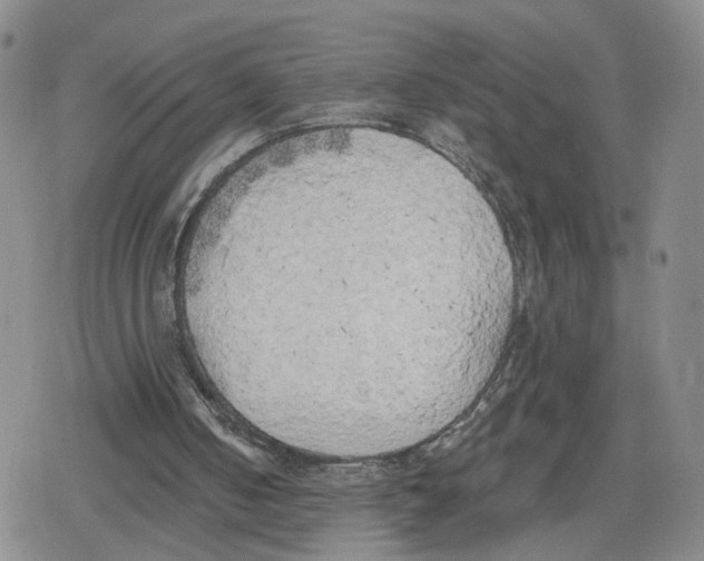 X0000079310050200612151802