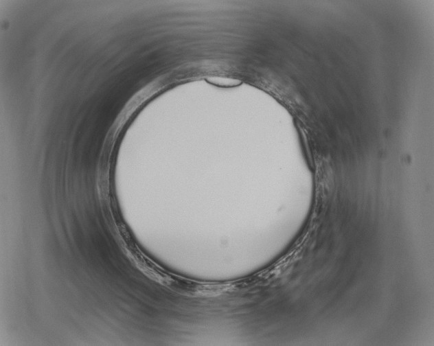 X0000079310051200612151802