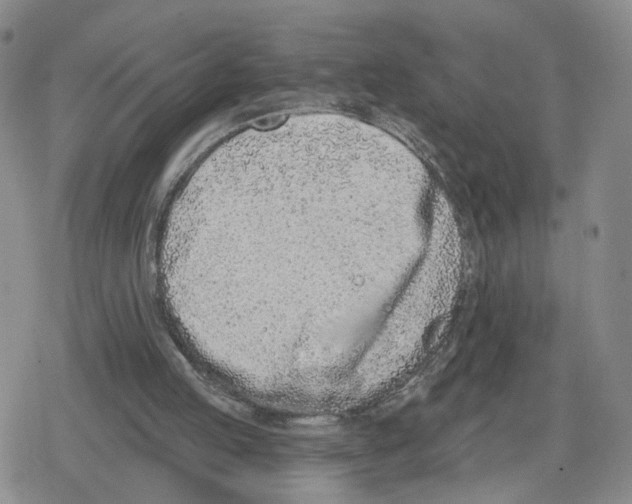 X0000079310053200612151802