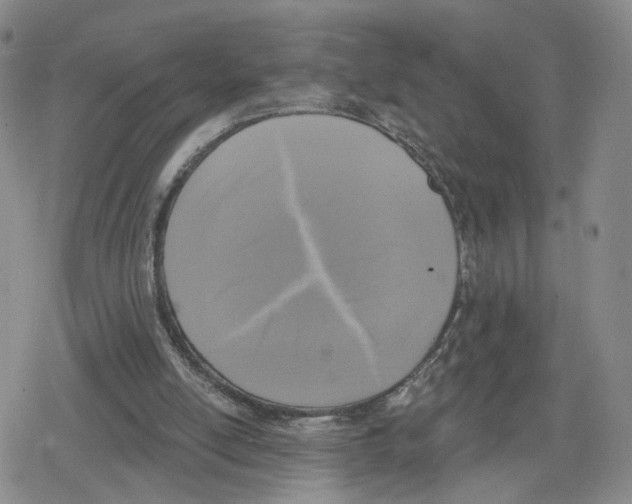 X0000079310054200612151802