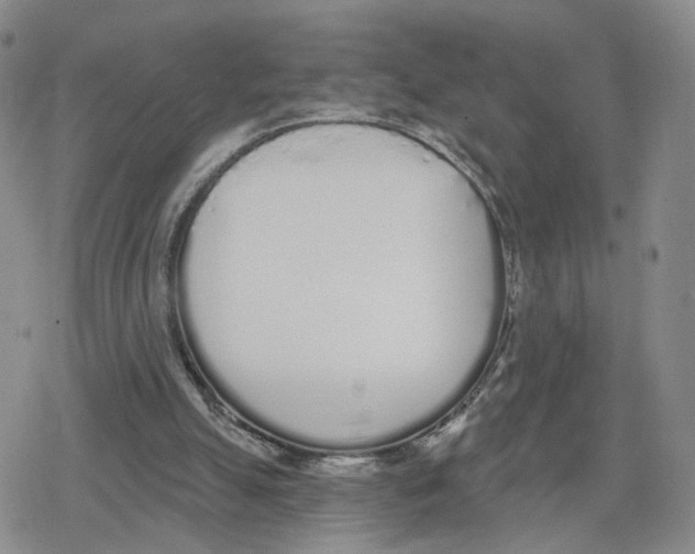 X0000079310055200612151802