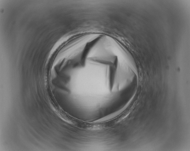 X0000079310056200612151802