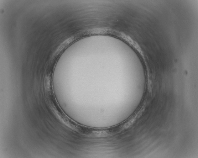 X0000079310057200612151802