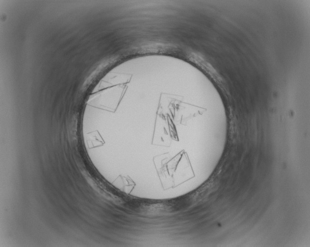 X0000079310058200612151802