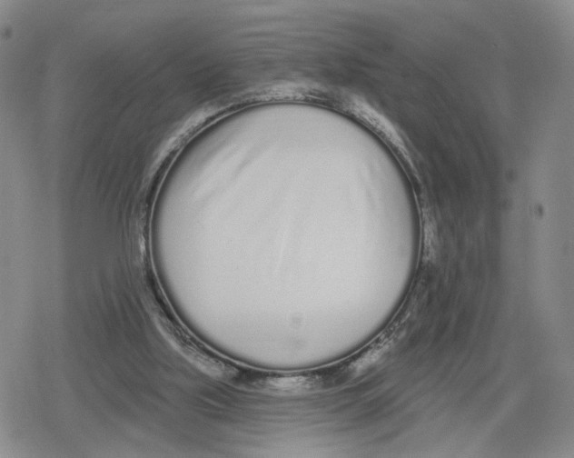 X0000079310059200612151802