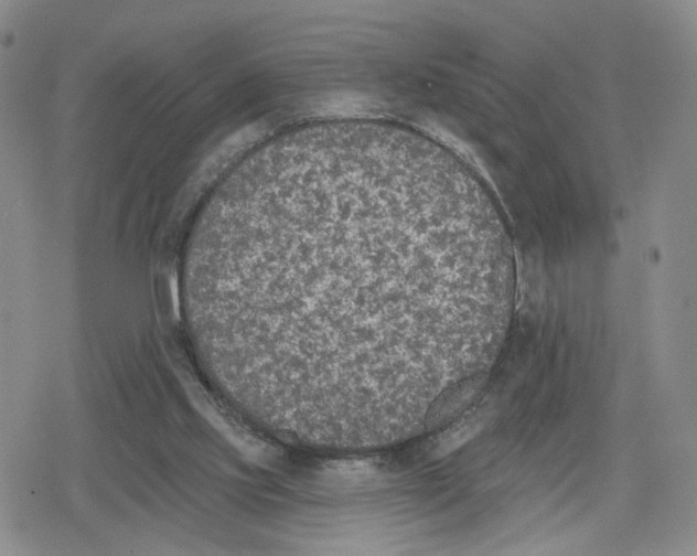 X0000079310061200612151802