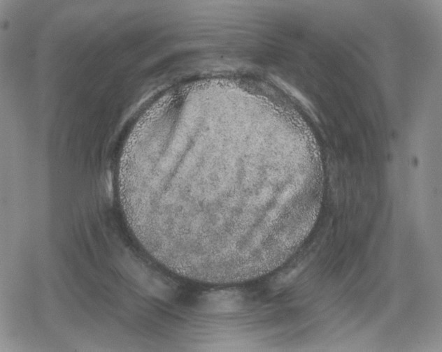 X0000079310067200612151802