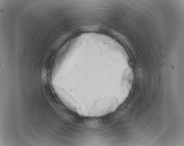 X0000079310069200612151802