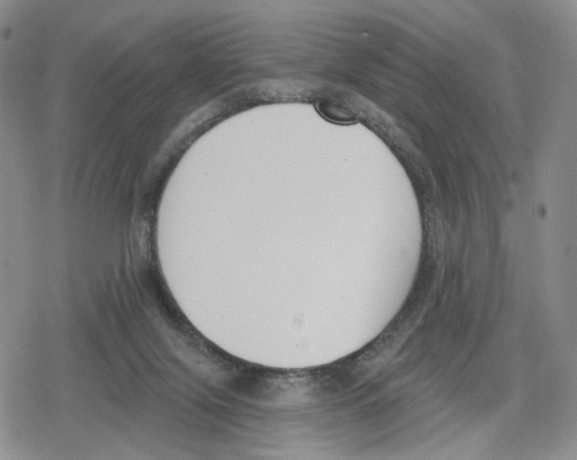 X0000079310071200612151802