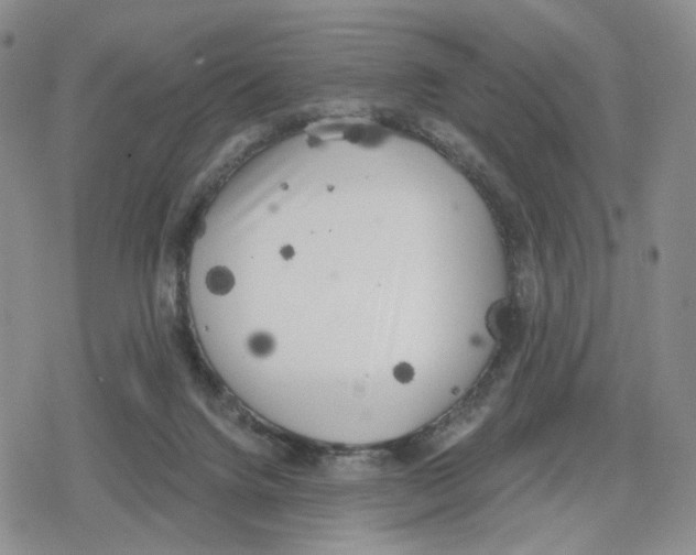 X0000079310072200612151802