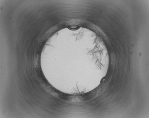 X0000079310073200612151803