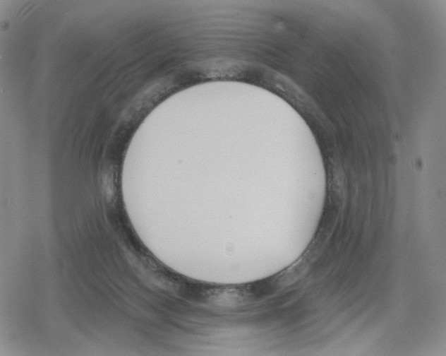 X0000079310074200612151803