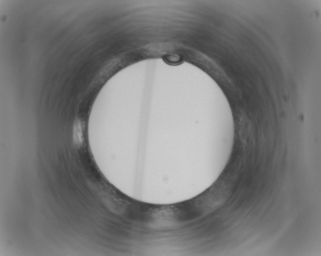 X0000079310075200612151803