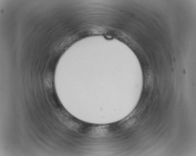 X0000079310078200612151803