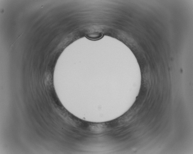 X0000079310079200612151803