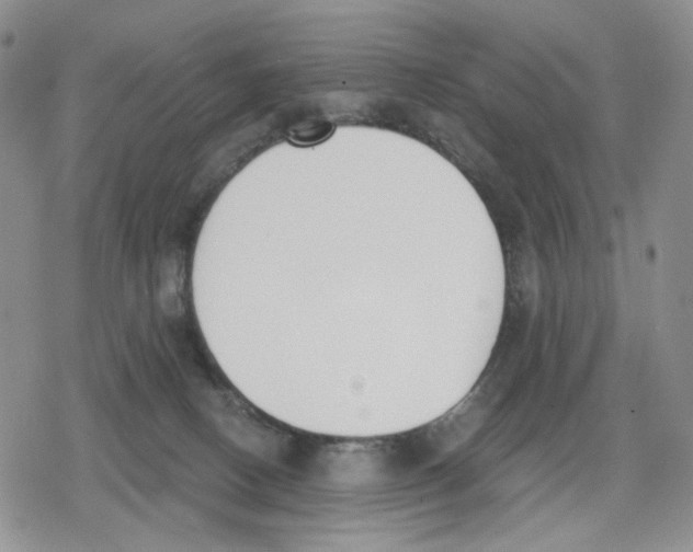 X0000079310082200612151803