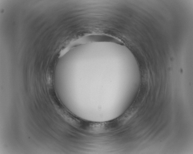 X0000079310084200612151803