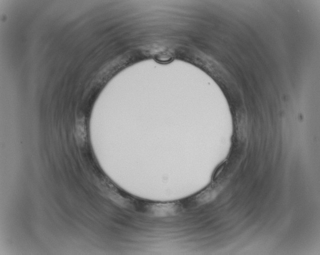 X0000079310085200612151803