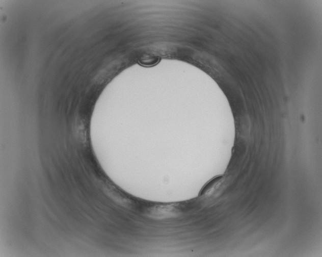 X0000079310086200612151803