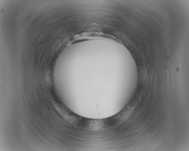 X0000079310088200612151803