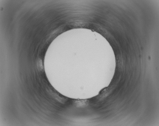 X0000079310089200612151803