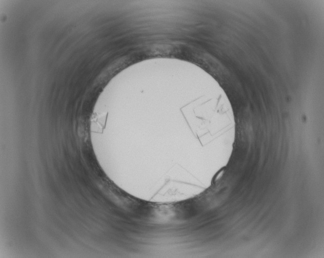 X0000079310091200612151803