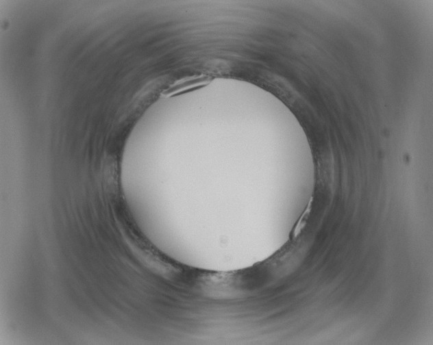 X0000079310092200612151803