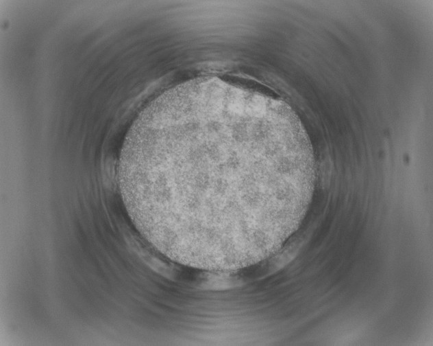 X0000079310093200612151803