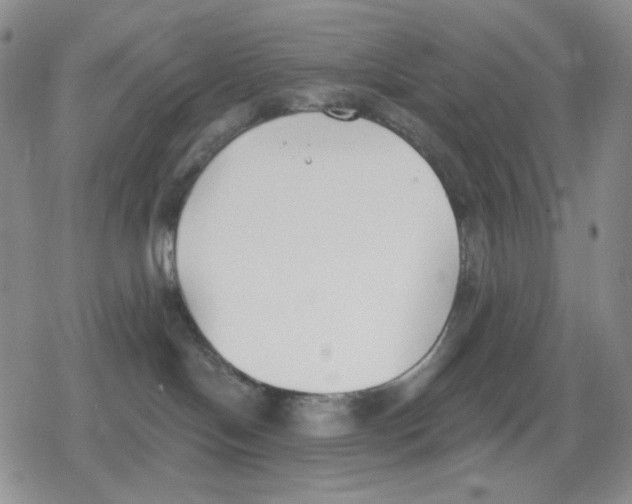 X0000079310094200612151803