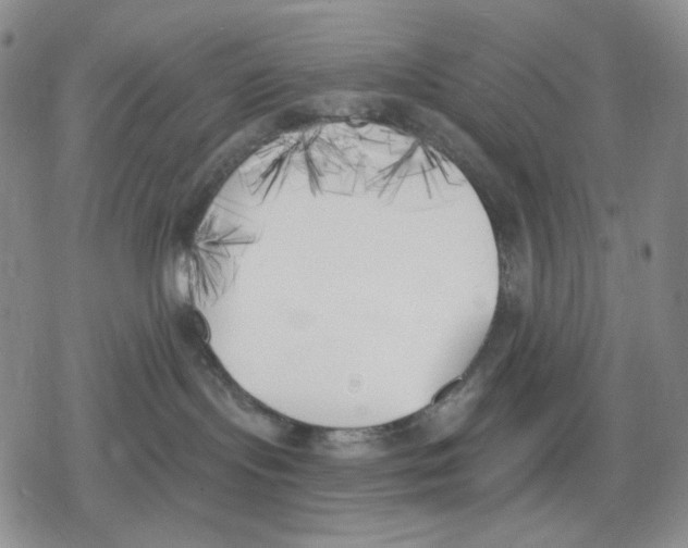 X0000079310095200612151803