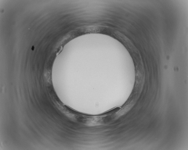 X0000079310096200612151803