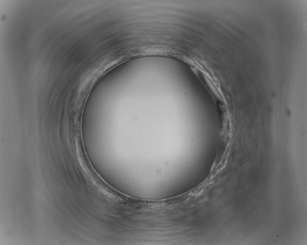 X0000079310097200612151802