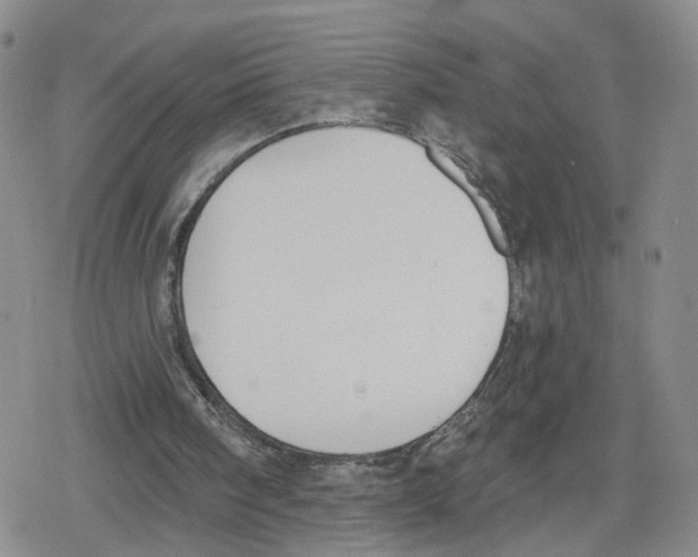 X0000079310098200612151802