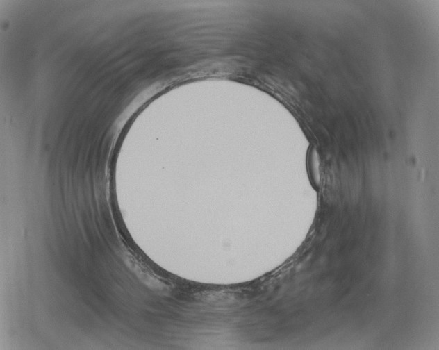 X0000079310100200612151802